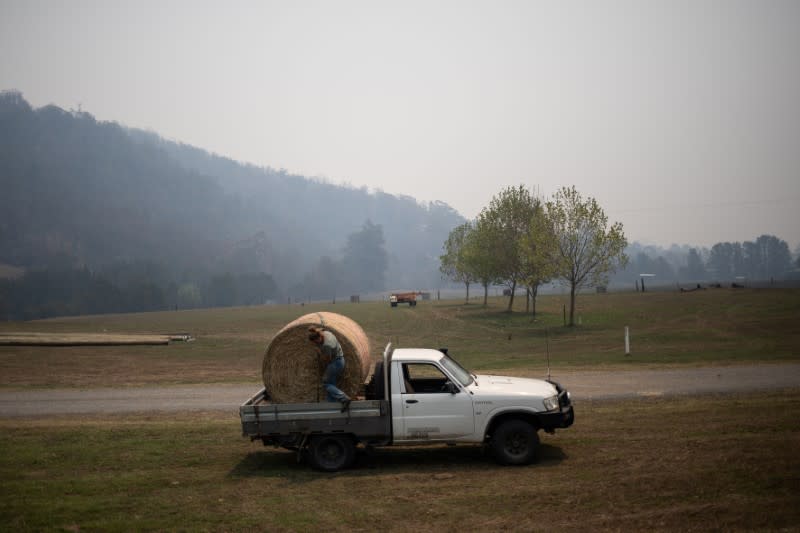 A farmer loads a stack of hay, donated by farmers of the region, on her truck in the town of Cobargo