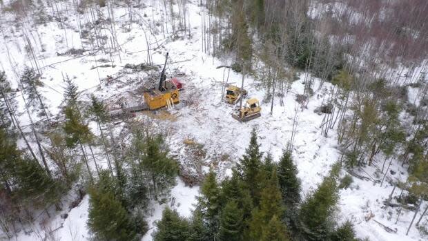 Several drilling sites in southern New Brunswick have already revealed a number of gold deposits below the surface. (Shane Fowler/CBC News - image credit)