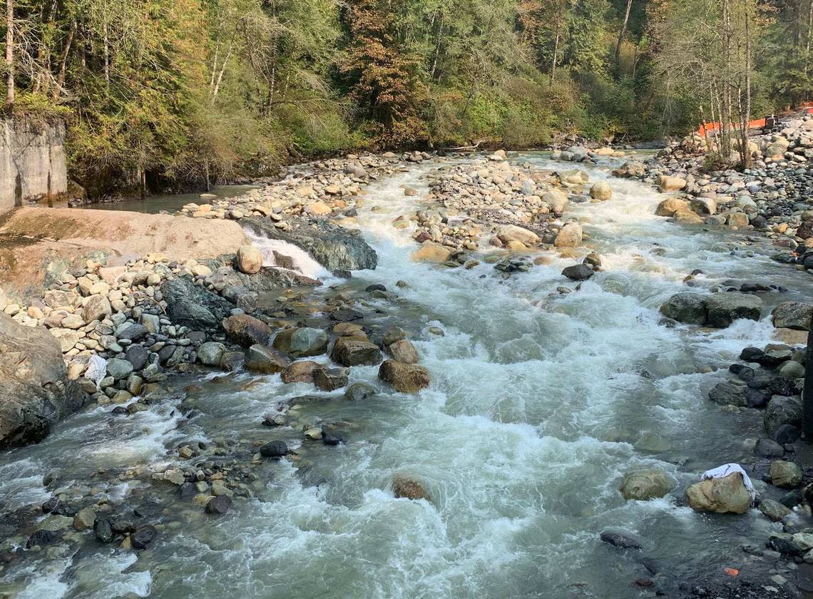 Water in the Middle Fork of the Nooksack River flows free Wednesday, Sept. 30, several years after the removal of the Middle Fork diversion dam in Whatcom County.