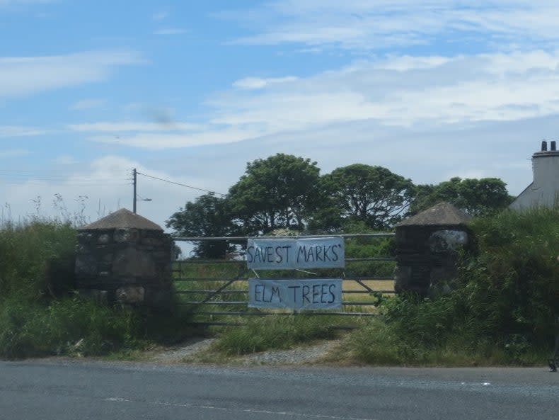 ‘Save St Marks elm trees’, reads a banner in the village where over 20 mature trees are to be chopped down to improve access to a farm (Manx Wildlife Trust)