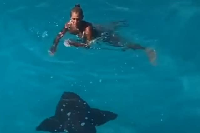 Woman accidentally swims right into the path of a giant shark