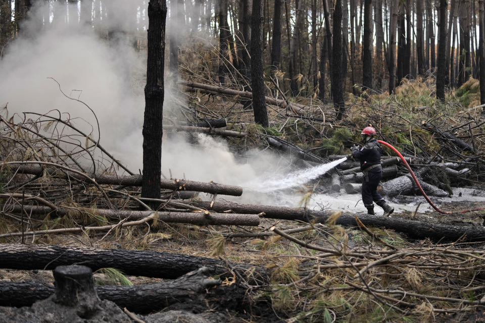 A firefighter sprays water to put out the remains of fires in a forest, in Hostens, south of Bordeaux, southwestern France, Tuesday, Aug. 23, 2022. The season of heat waves and wildfires produced excellent grapes, despite lower yields. (AP Photo/Francois Mori)