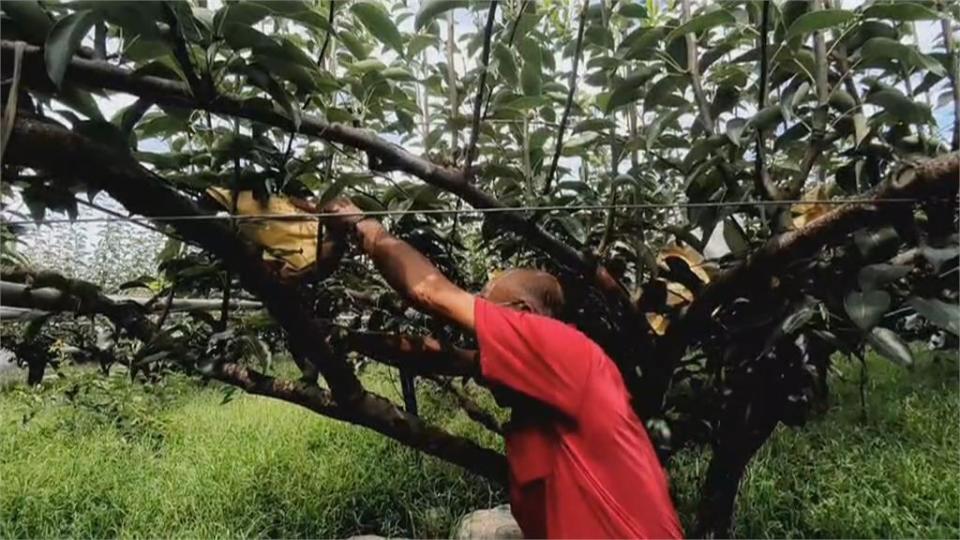 中颱杜蘇芮路徑南修　氣象局晚間8點半發布海警