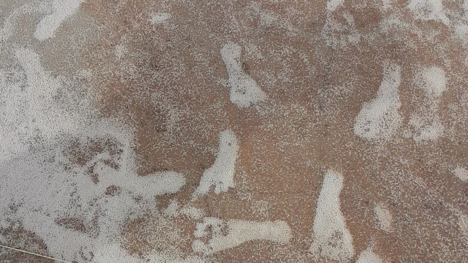 Human footprints infilled with white gypsum sand at White Sands National Park. - National Park Service