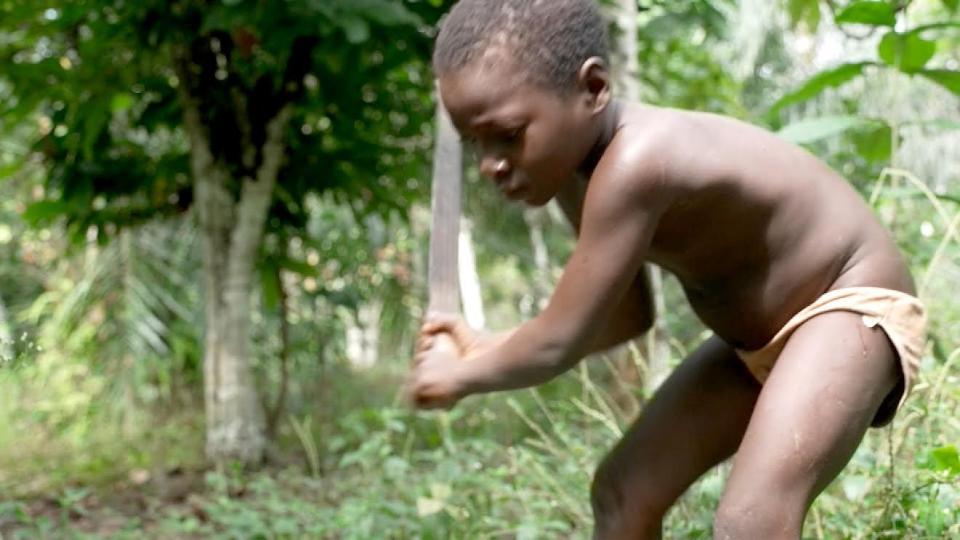 A child uses a machete to harvest cocoa. / Credit: CBS News