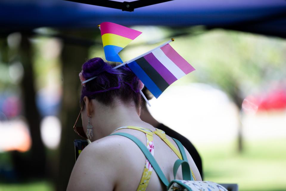 Scenes from Holland's 20th Pride Festival in Ottawa County.