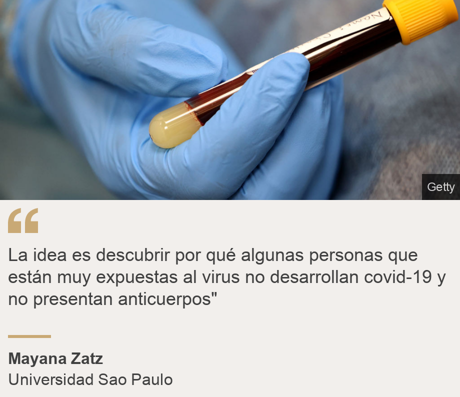 &quot;La idea es descubrir por qu&#xe9; algunas personas que est&#xe1;n muy expuestas al virus no desarrollan covid-19 y no presentan anticuerpos&quot;&quot;, Source: Mayana Zatz, Source description: Universidad Sao Paulo, Image: 