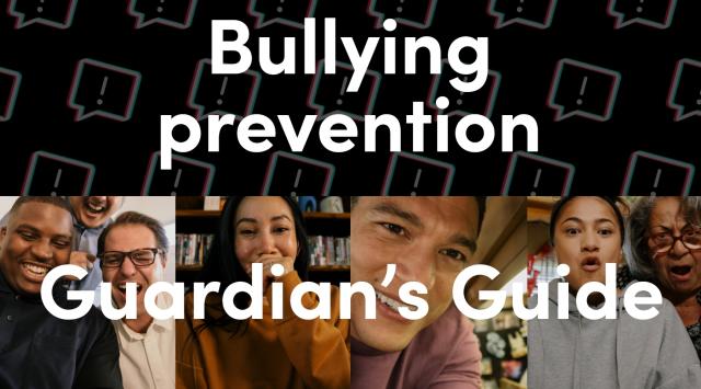 Bullying, Parents Guide to Support