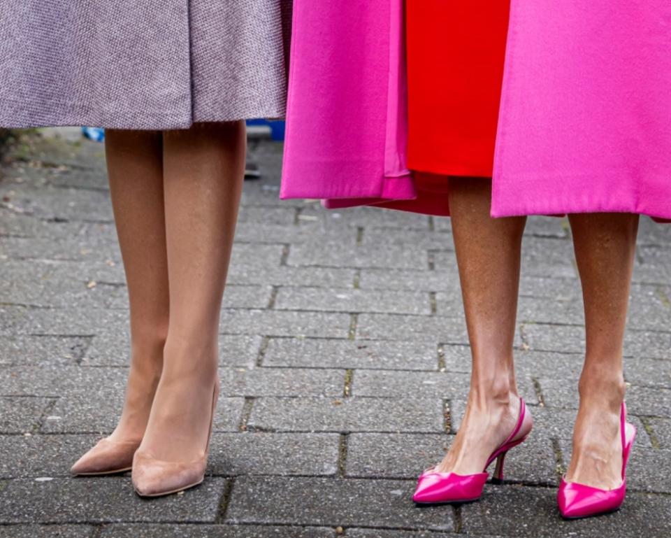 Queen Maxima spotted wearing a pair of nude Gianvito Rossi pointed-toe pumps in Amsterdam