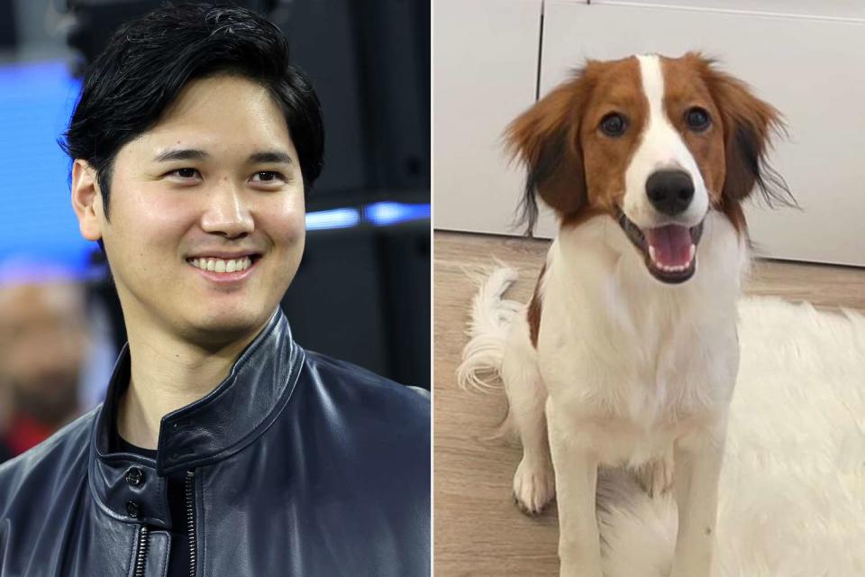 <p>Sean M. Haffey/Getty; Shohei Ohtani/Instagram</p> Shohei Ohtani and his dog Decoy