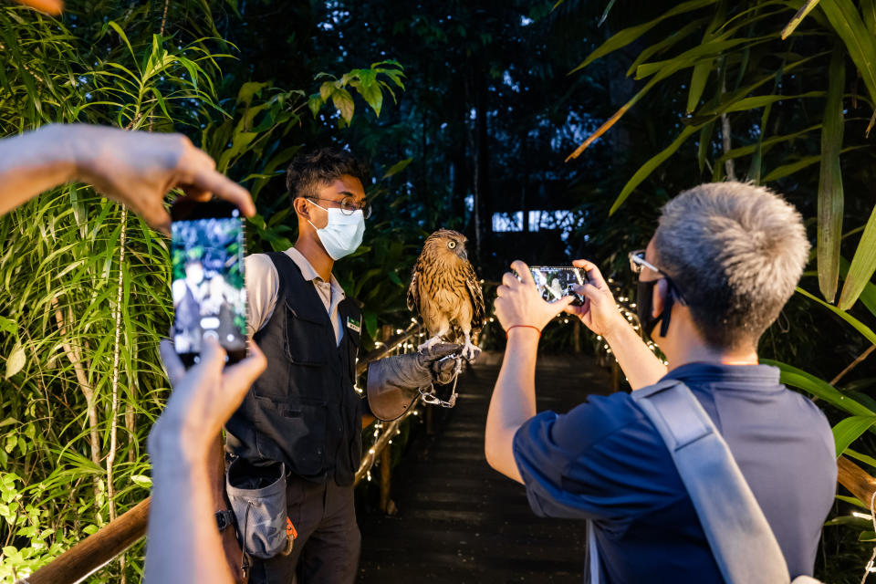 Mi Fans testing out Mi 11’s low light photography and videography capabilities by taking photos of a Malay fish owl during a special animal encounter at Night Safari. (PHOTO: Xiaomi)