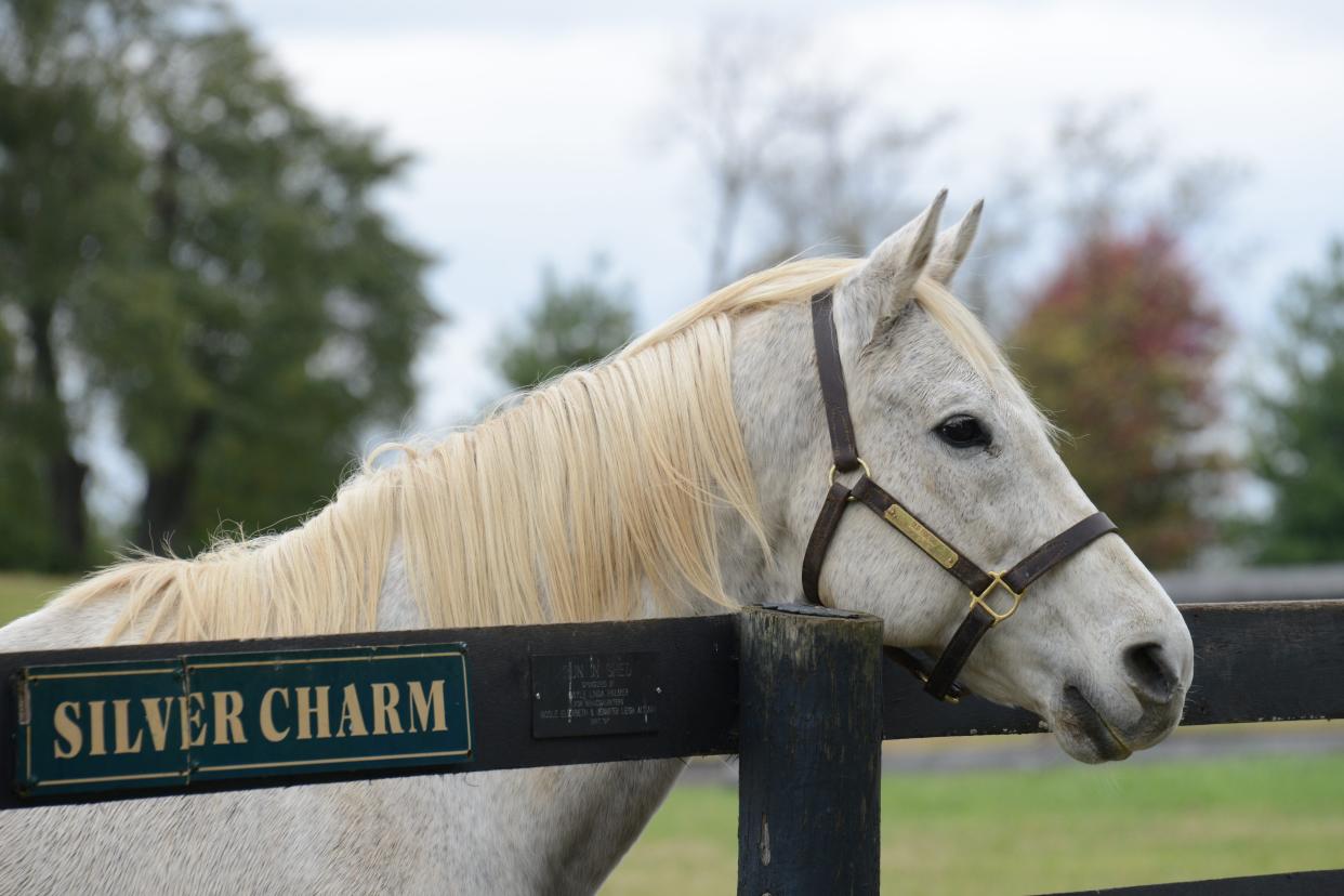 Silver Charm at Old Friends in Georgetown, Kentucky.
