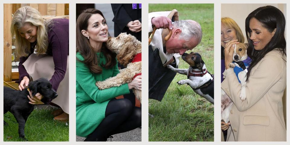 <p>As long as photography has been around, people have been taking dog pics—the royal family included. There are 150 years of royal-canine friendships caught on camera and we've rounded up the best of them, from Meghan Markle's visits to an animal welfare charity to the Queen Mother's lifelong passion for corgis.</p>