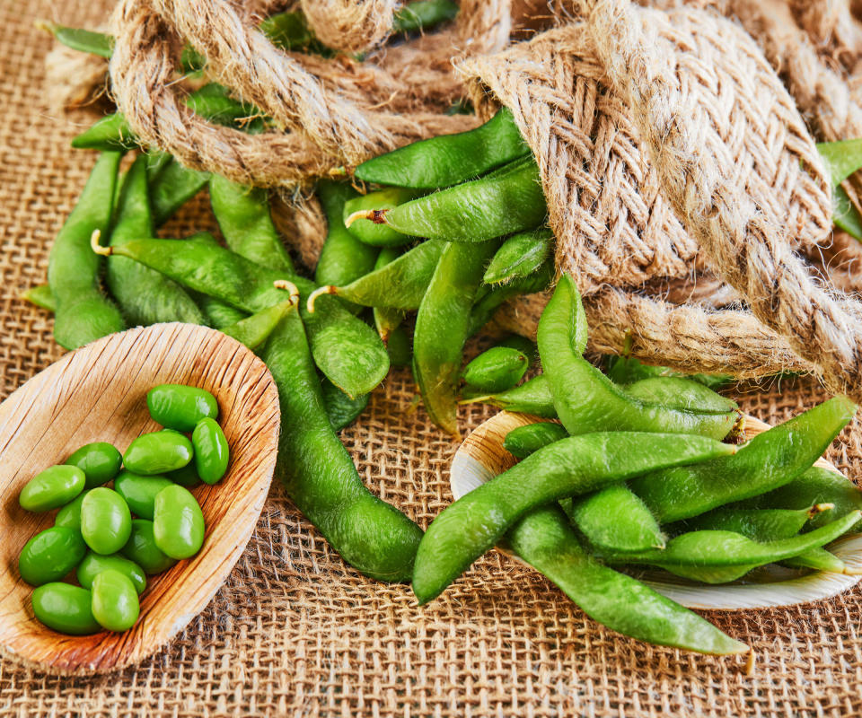 soybeans pods freshly picked and partly shelled after harvesting