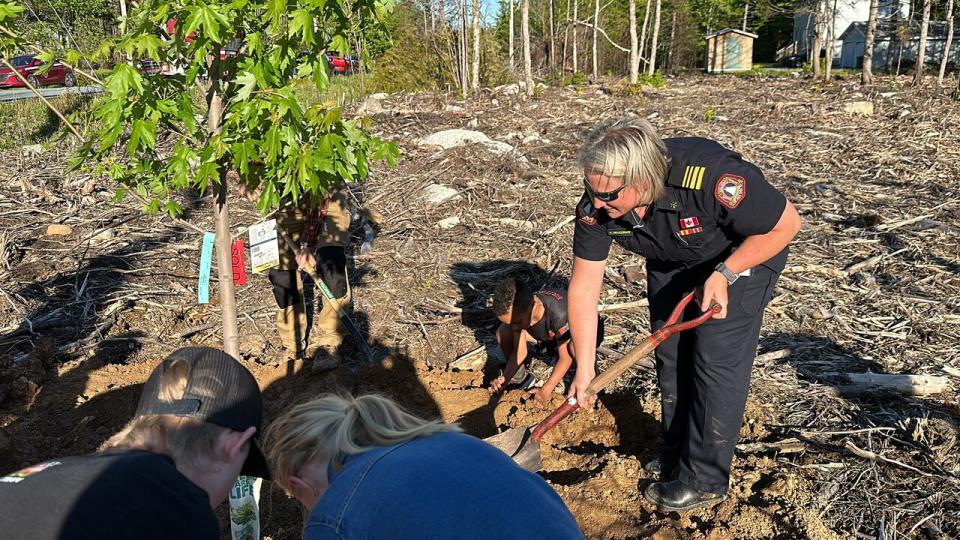 Kara McCurdy helps shovels dirt onto the red maple tree she donated to Highland Park.