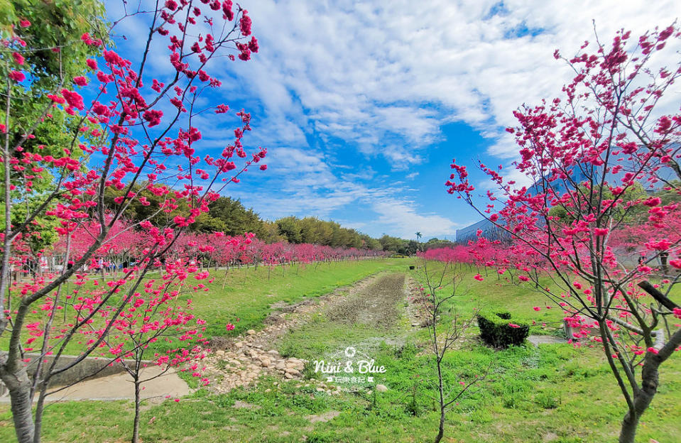 台中｜中科崴立櫻花公園