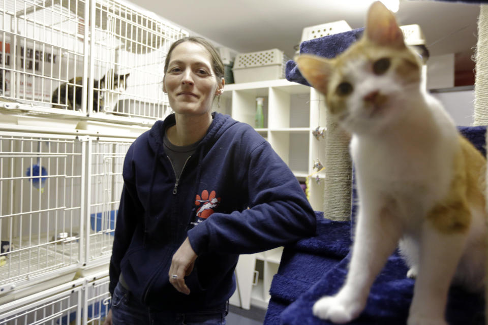 In this Thursday, March 28, 2013 photo, Red Paw founder Jen Leary poses for a portrait at their adoption facility in Philadelphia, with kittens displaced due to fires. The emergency relief service Red Paw has paired with the local Red Cross to care for animals displaced by flames, floods or other residential disasters, with the goal of eventually reuniting them with their owners. (AP Photo/Matt Rourke)