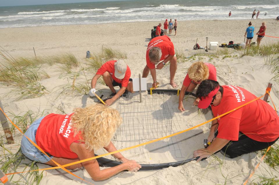 Volunteers with the Holden Beach Sea Turtle Program erect a collar around a turtle nest site at Holden Beach July 21, 2010. Holden Beach is  nominated for USA TODAY 10Best Readers' Choice 2024 best beach in North Carolina.