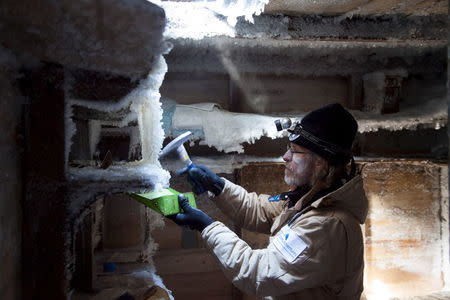 Mawson's Huts Foundation chief conservator, Dr Ian Godfrey, chips ice from the shelves in Sir Douglas Mawson's bedroom in Mawson's Hut at Cape Denison in Antarctica in this December 11, 2015 handout photo. REUTERS/David Killick/Mawsons Huts Foundation/Handout via Reuters