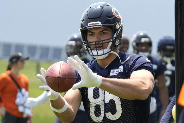 Chicago Bears Training Camp Preview: Safeties 