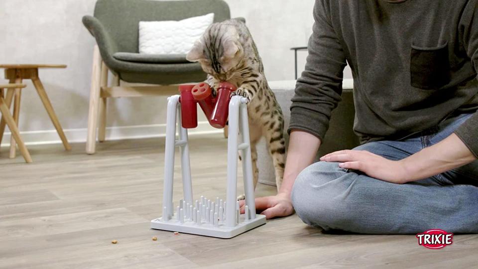 trixie cat feeder, cat food puzzles