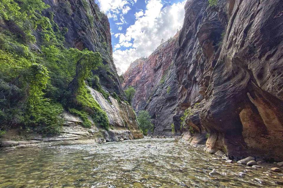 <p>Getty Images</p> The Narrows in Zion National Park