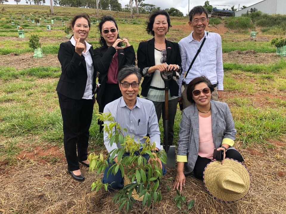 農委會與澳洲農業部及昆士蘭州農漁業廳合作，共同推動台灣荔枝於南半球反季節生產計畫   圖：農委會/提供