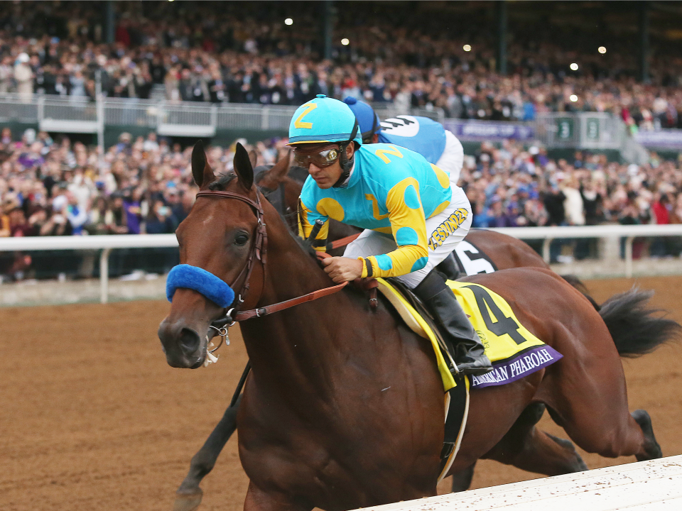 American Pharoah