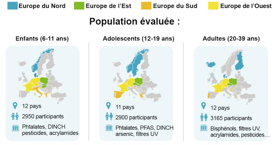 Groupes d’âge suivis et produits chimiques recherchés lors des études au niveau européen. HBM4EU, Author provided