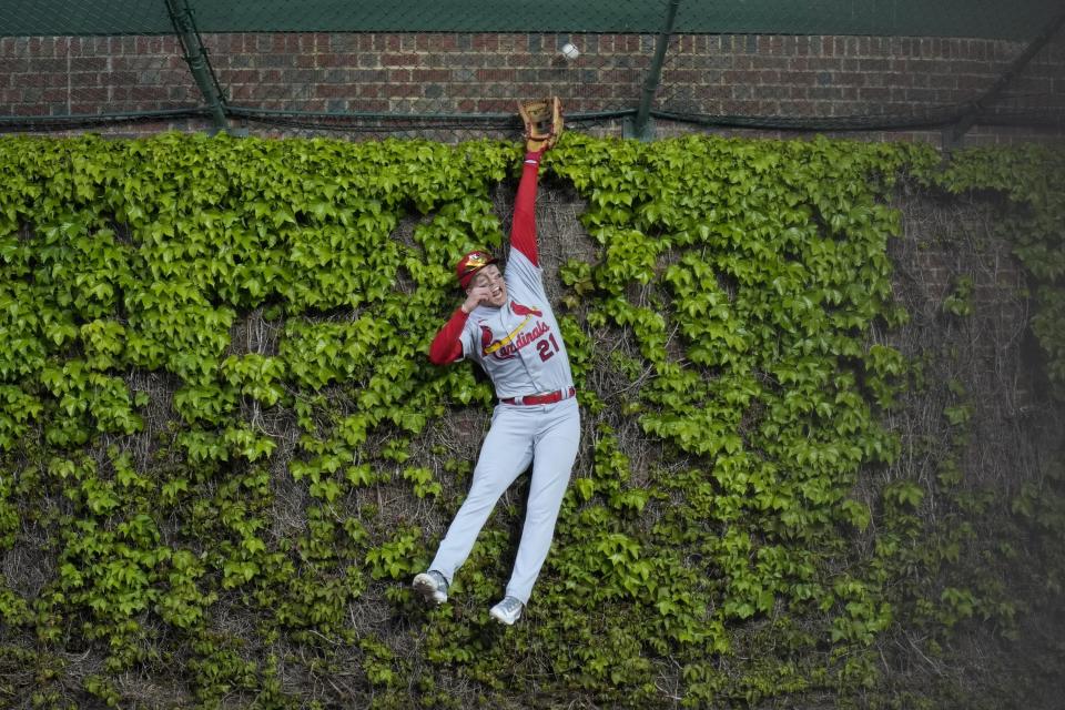 St. Louis Cardinals center fielder Lars Nootbaar can't catch a home run by Chicago Cubs' Dansby Swanson during the third inning of a baseball game Tuesday, May 9, 2023, in Chicago. (AP Photo/Erin Hooley)