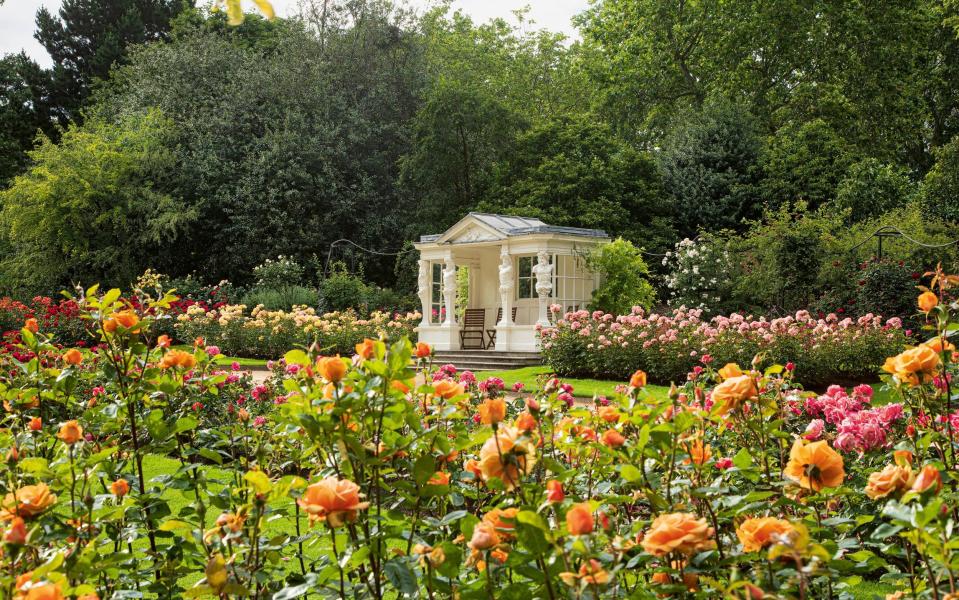 Buckingham Palace Royal Garden - John Campbell