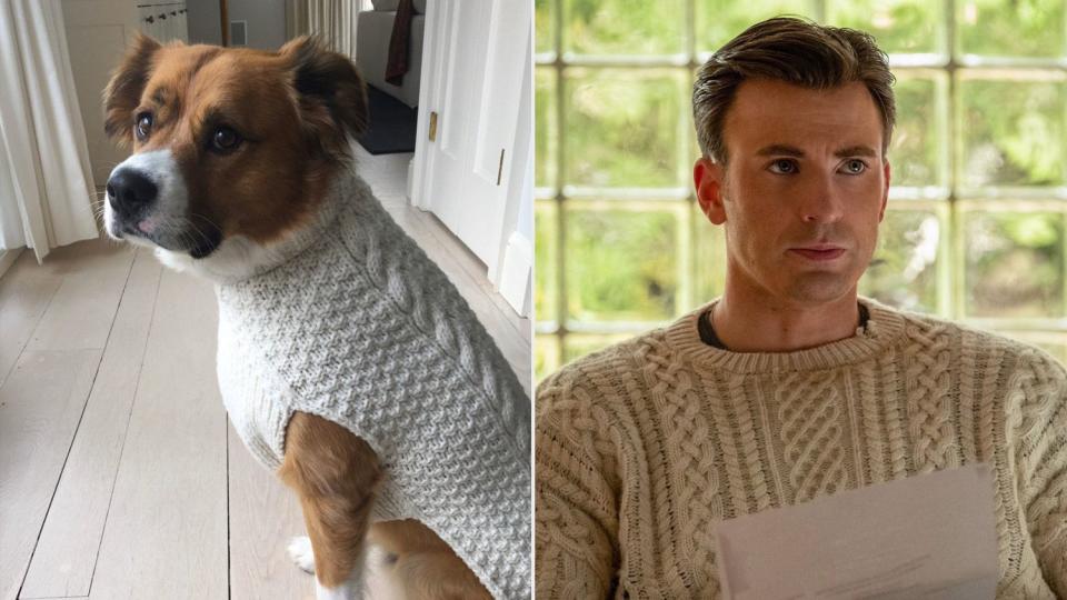 Chris Evans Gets His Beloved Dog a Matching Knives Out Cable-Knit Sweater
