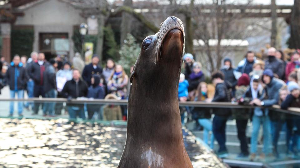 Central Park Zoo in New York