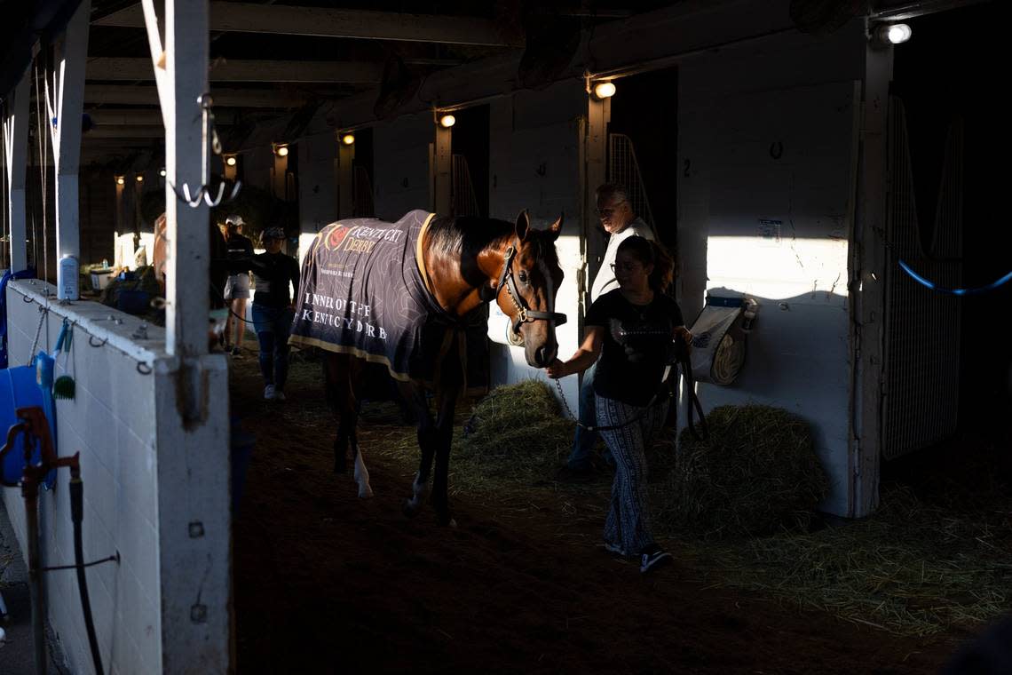 Kentucky Derby winner Mystik Dan relaxes at Churchill Downs on Sunday morning. “He ran hard yesterday. So we’ll see,” trainer Kenny McPeek said when asked about his colt running in the Preakness Stakes.