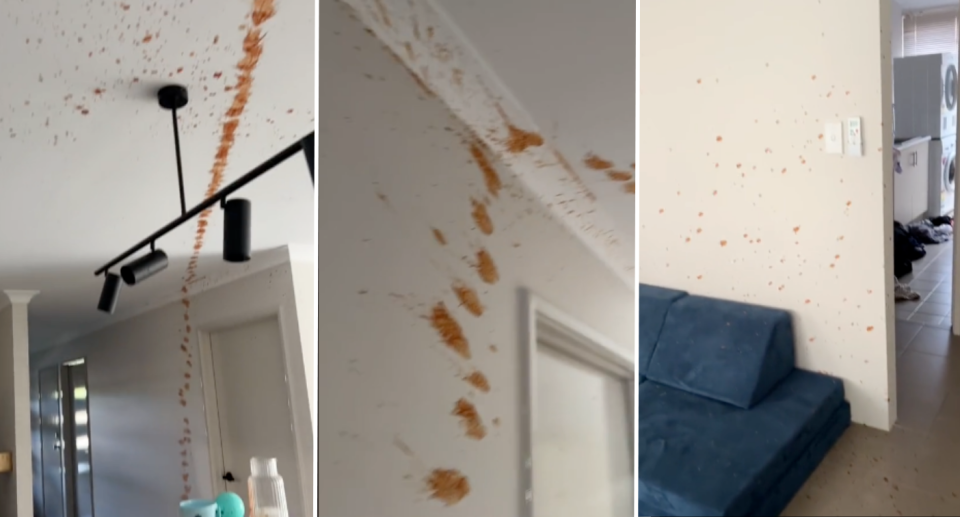 Images of the Woolworths pizza sauce splattered across multiple white walls and the ceiling of the Perth home. 