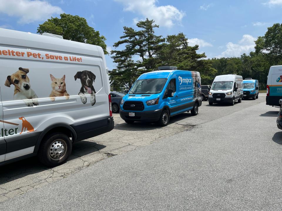 MSPCA and Northeast Animal Shelter vans arrive at New Bedford Regional Airport on Wednesday, Aug. 3 to transport the 150 cats from Florida to Southeastern Massachusetts shelters to be adopted.