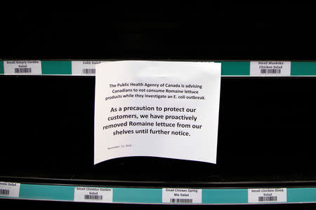 Romaine lettuce has been taken off the shelf for fear of an E. coli outbreak at this grocery store in Toronto, Ontario, Canada November 21, 2018. REUTERS/Carlos Osorio