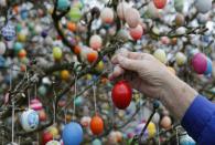 German pensioner Volker Kraft decorates an apple tree with Easter eggs in the garden of his summerhouse, in the eastern German town of Saalfeld, March 19, 2014. Each year since 1965 Volker and his wife Christa spend up to two weeks decorating the tree with their collection of 10,000 colourful hand-painted Easter eggs in time for Easter celebrations. REUTERS/Fabrizio Bensch