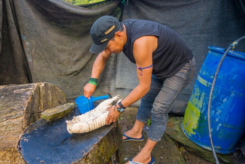 <span class="caption">A man in Ecuador in 2017 prepares an armadillo for lunch.</span> <span class="attribution"><a class="link " href="https://www.shutterstock.com/image-photo/santa-ana-ecuador-may-07-2017-653823466?src=ACmXu7MuZv7g3gHk7bzu_w-1-3" rel="nofollow noopener" target="_blank" data-ylk="slk:Fotos593/Shutterstock;elm:context_link;itc:0;sec:content-canvas">Fotos593/Shutterstock</a></span>