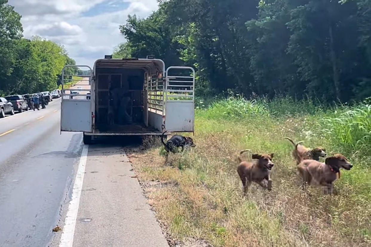 Search dogs are released to help search for the escaped inmate, Gonzalo Lopez. (Texas Dept. of Criminal Justice)