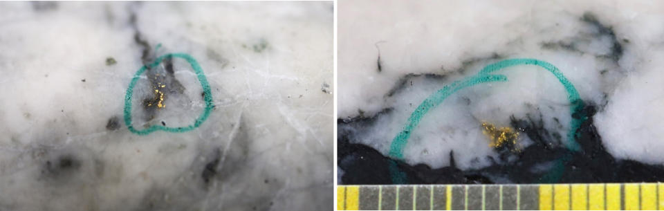 Figure 1: Photos of mineralization from Left: at ~112.30m in NFGC-23-1323, Right: at 79.25m in NFGC-23-1766 ^Note that these photos are not intended to be representative of gold mineralization in NFGC-23-1323 and NFGC-23-1766. (Photo: Business Wire)