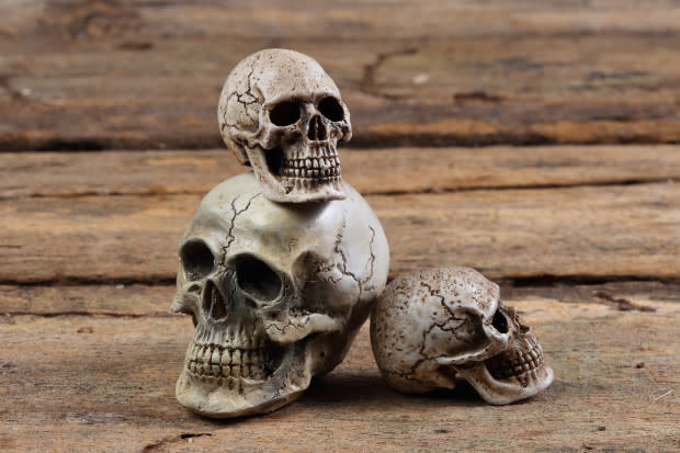 <p><a href="https://www.shutterstock.com/image-photo/skull-resting-on-old-wooden-floor-281661272" rel="nofollow noopener" target="_blank" data-ylk="slk:hareluya;elm:context_link;itc:0;sec:content-canvas" class="link ">hareluya</a></p>