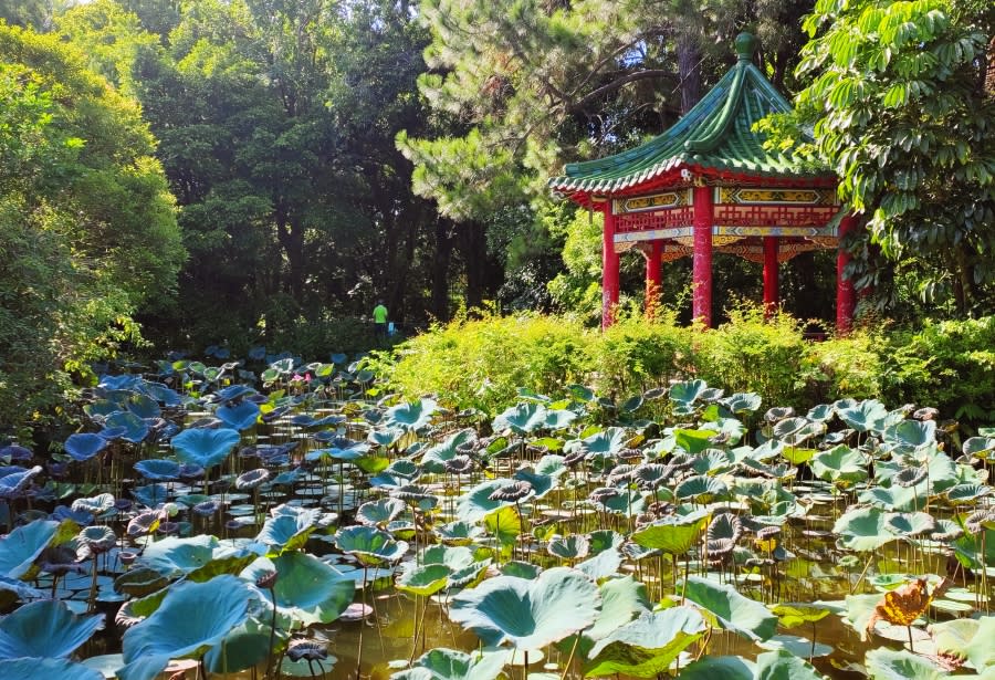 台北文青小旅行