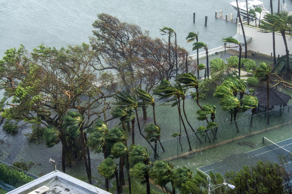 (FOTOS) El paso destructor de Irma por Florida, EEUU