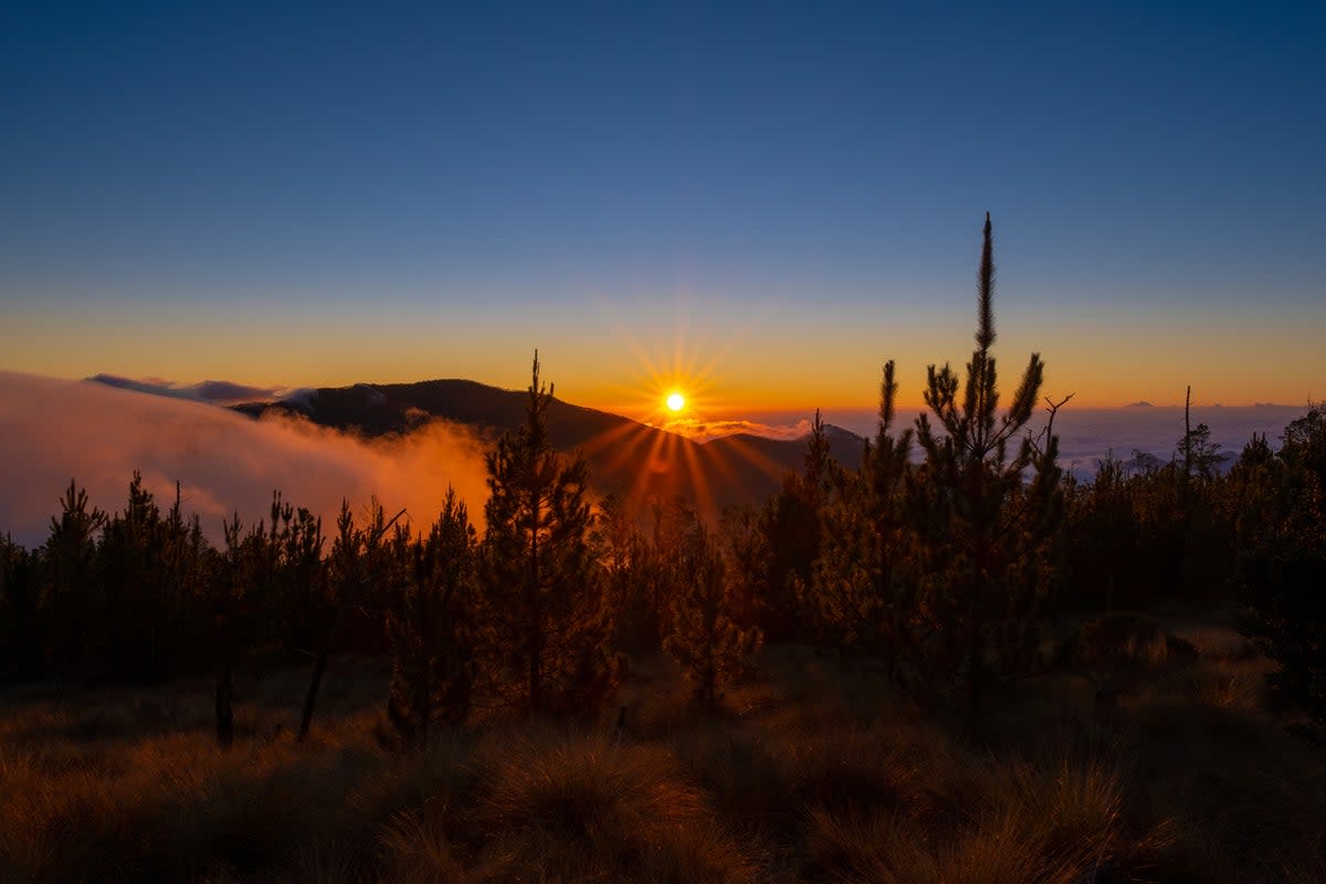 The Cordillera Central range is sometimes referred to as the Dominican Alps (Getty Images/iStockphoto)