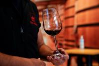 Spanish wineries struggle with delays as supply chain crisis bites