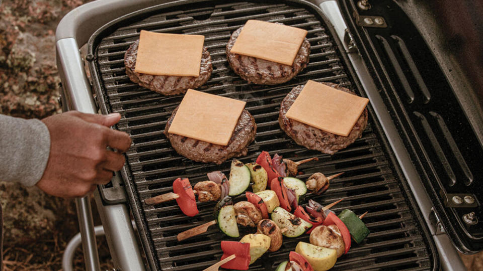 Weber Traveler Grill