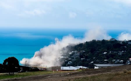 Dust and debris rise above houses after a cliff collapsed due to an earthquake on the Whitewash Head area, located above Scarborough Beach in the suburb of Sumner, Christchurch, New Zealand, February 14, 2016. REUTERS/Richard Loffhagen/Handout via Reuters