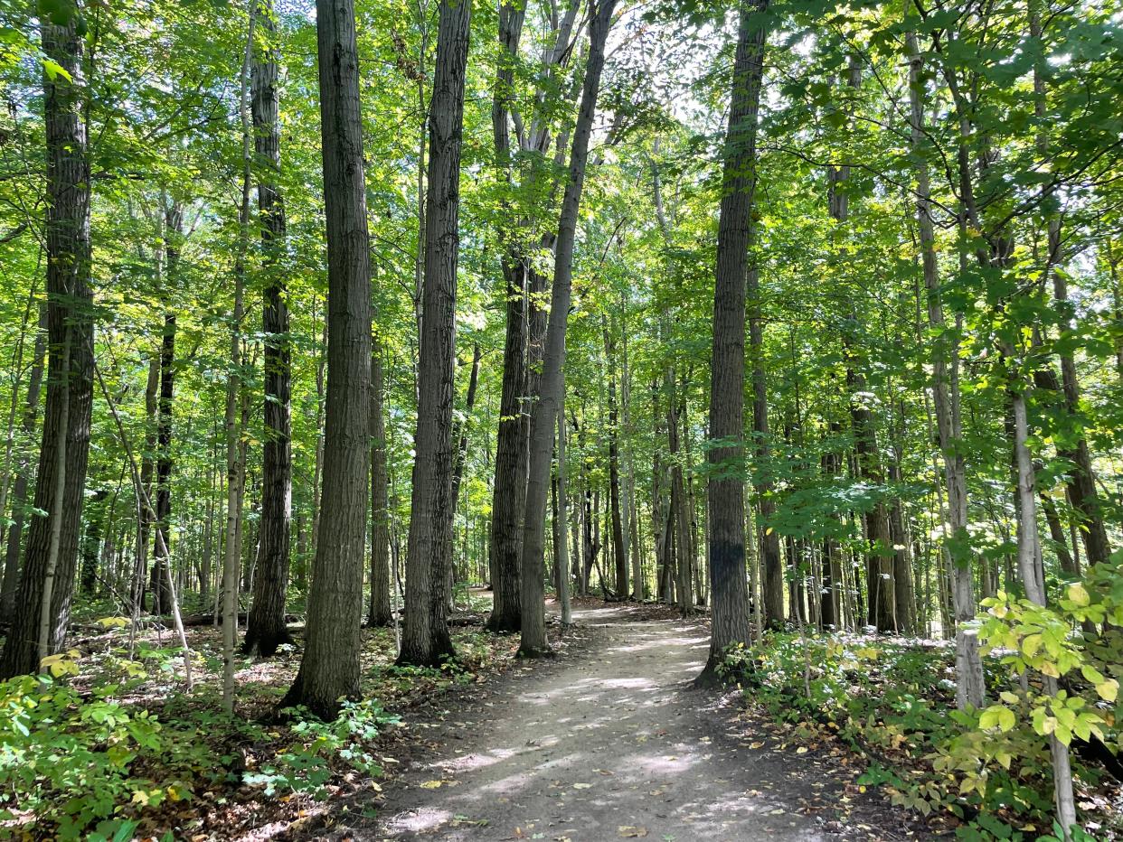 One of the trail heads at Columbus County Park on Oct. 6, 2023.