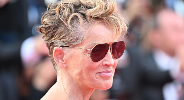 sharon stone hair 2022